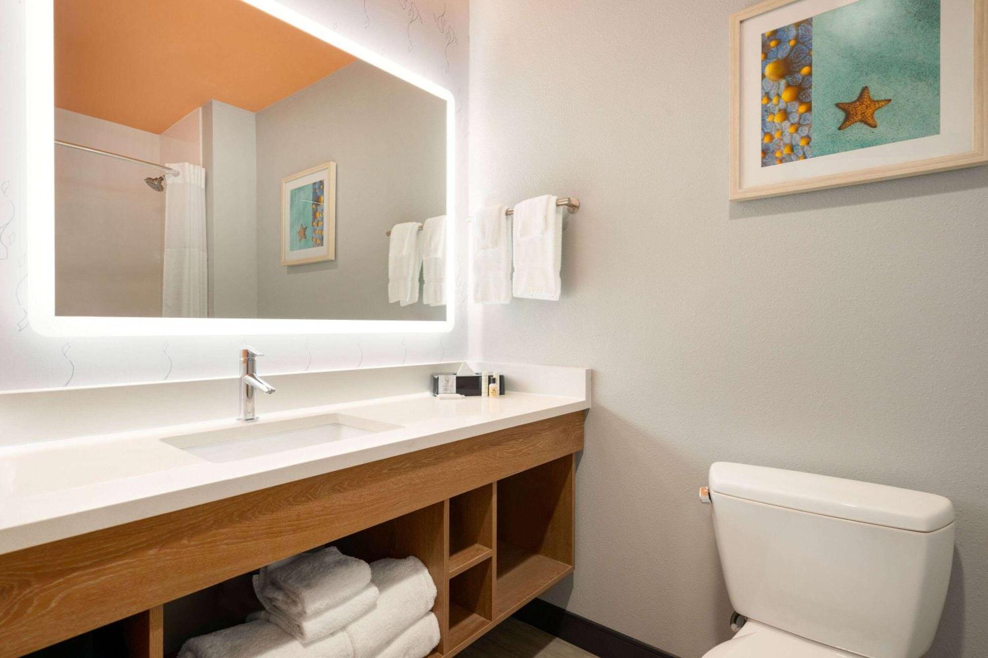 La Quinta Inn & Suites By Wyndham San Antonio Seaworld Lafb Dış mekan fotoğraf