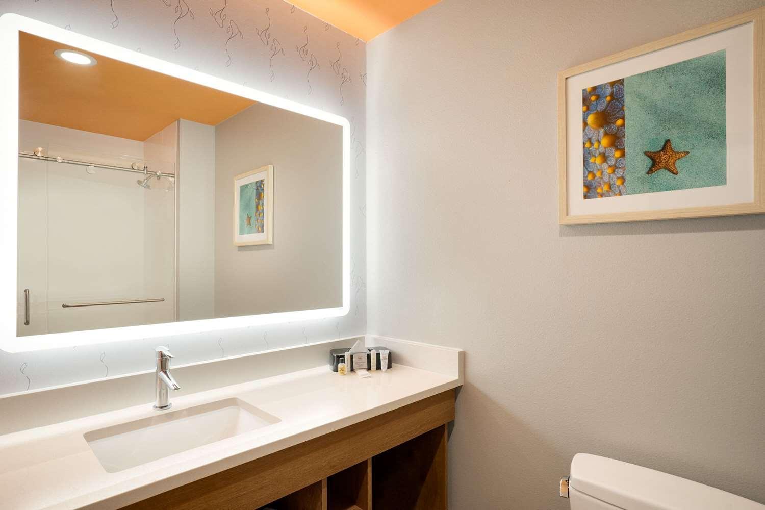 La Quinta Inn & Suites By Wyndham San Antonio Seaworld Lafb Dış mekan fotoğraf